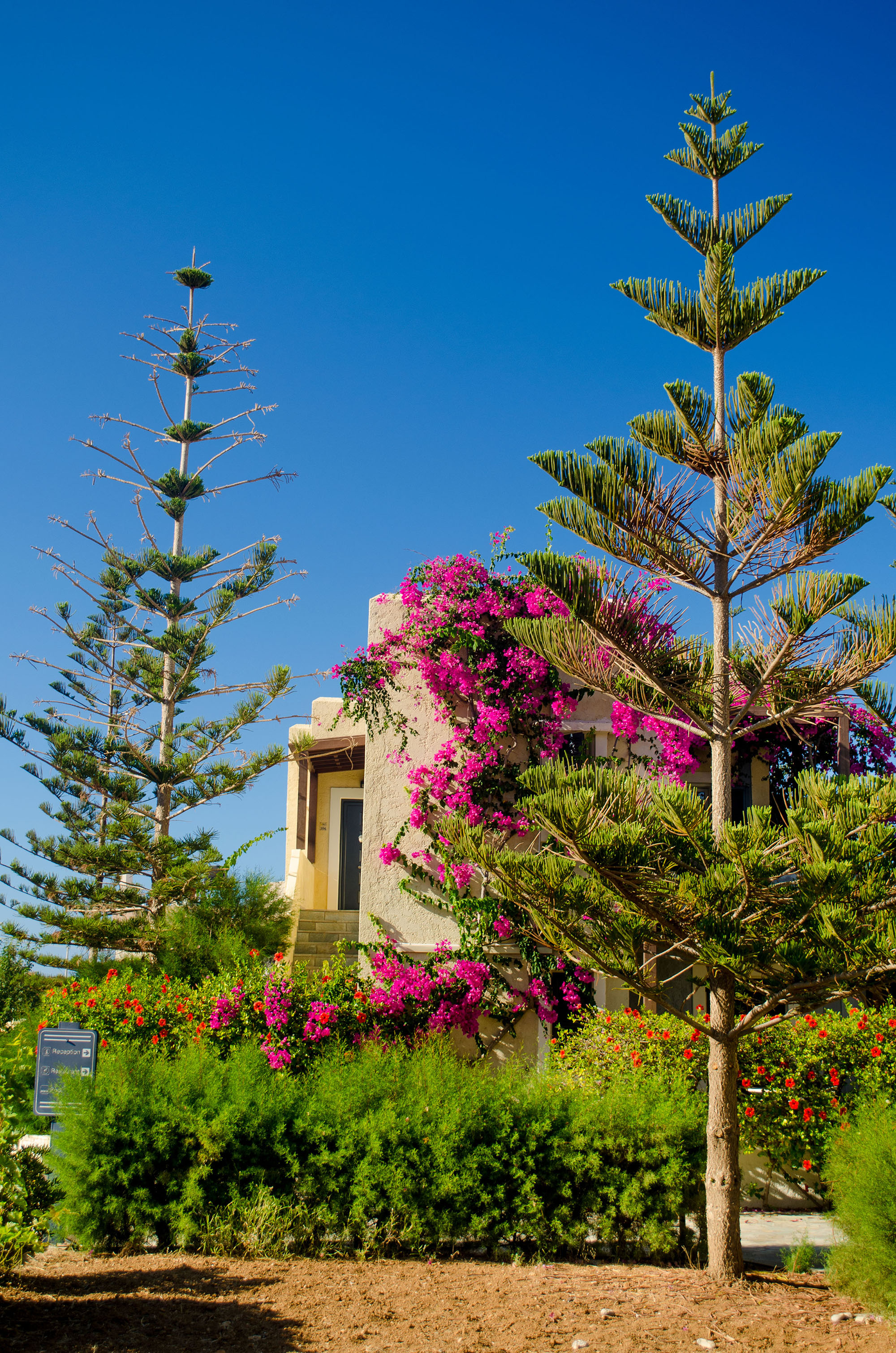 Your Memories Hotel & Apartments