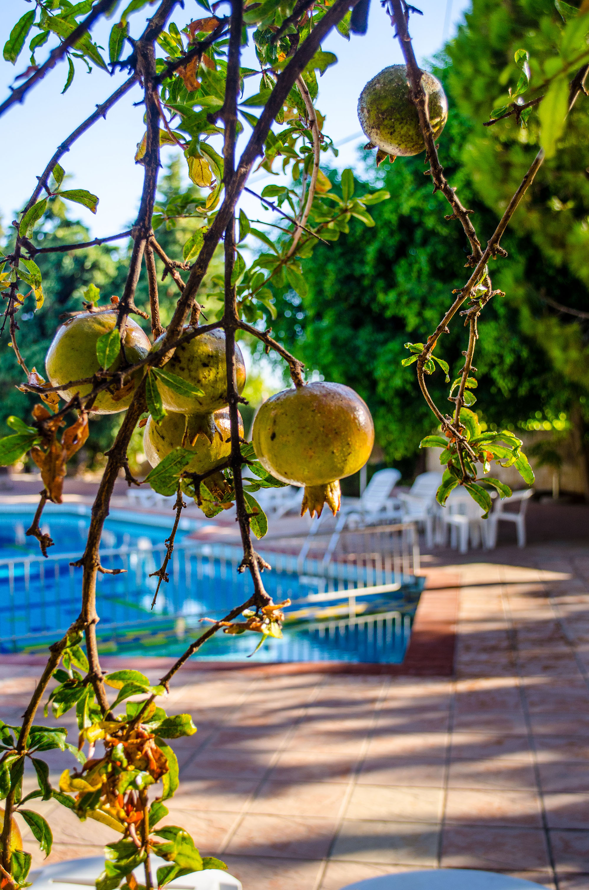 Your Memories Hotel & Apartments