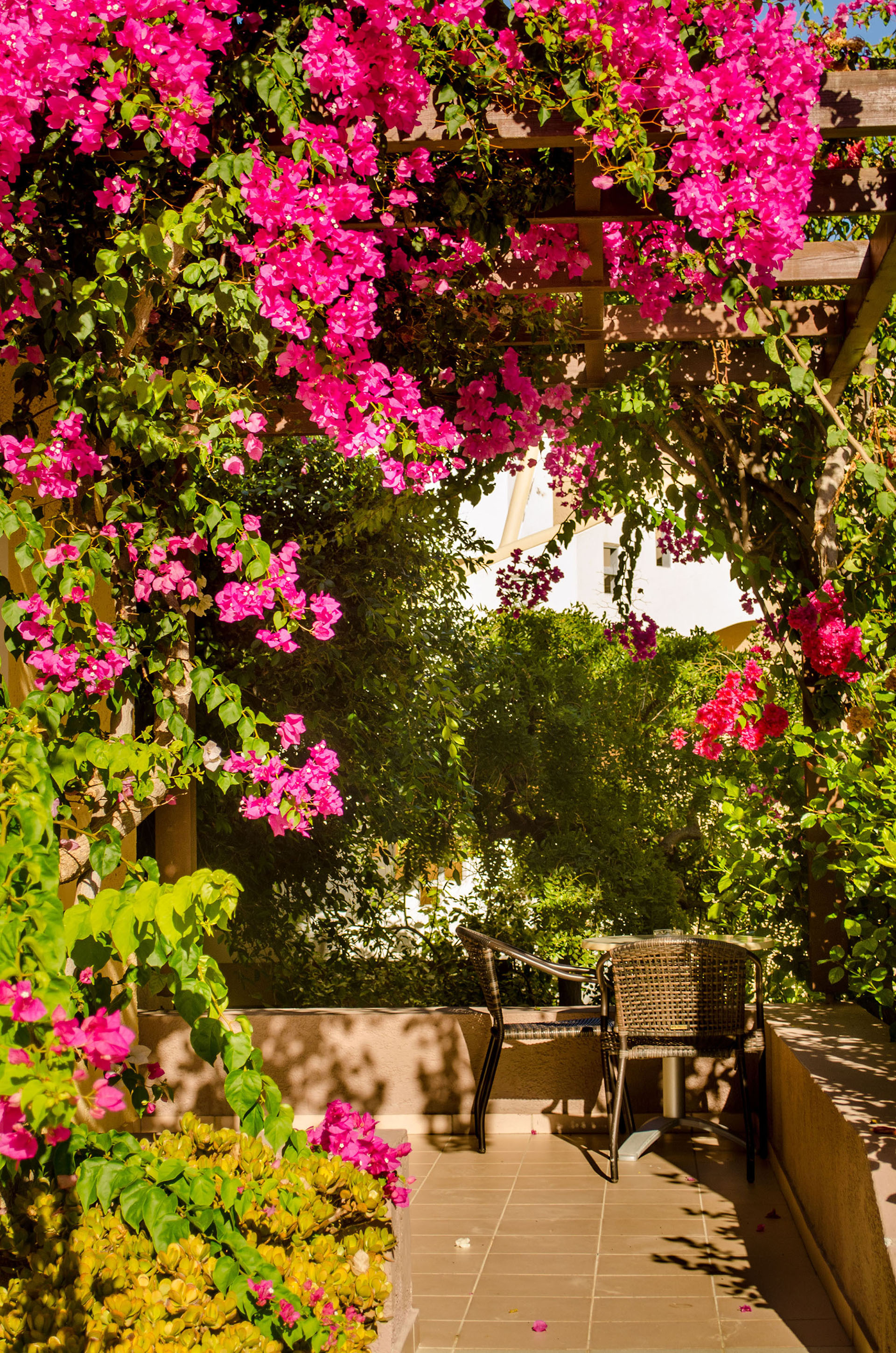 Your Memories Hotel & Apartments