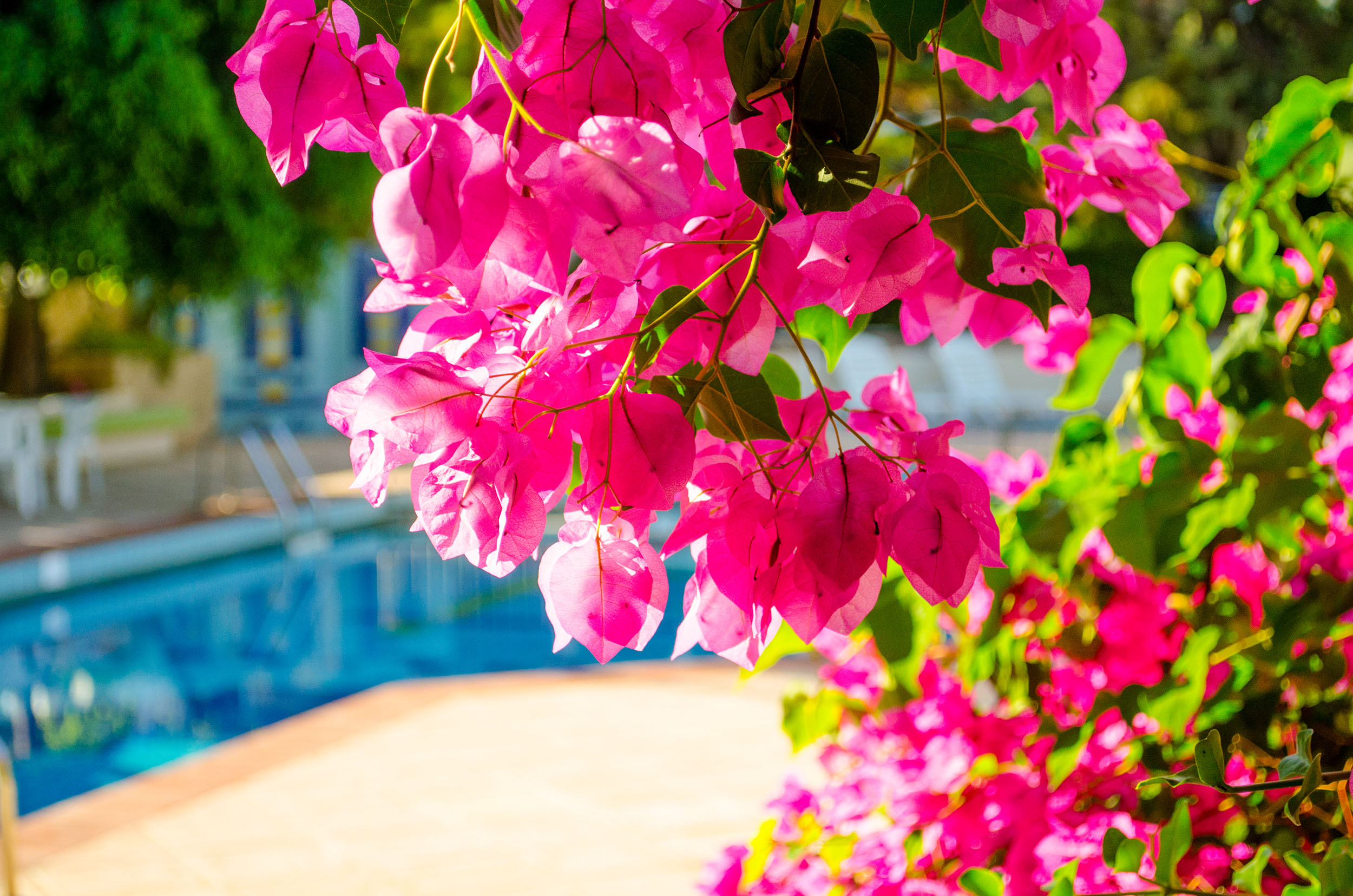 Your Memories Hotel & Apartments